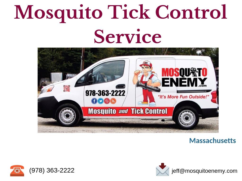 mosquito enemy